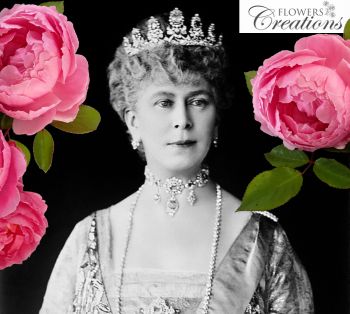 Queen Mary Pink Roses